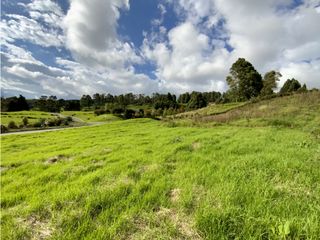 Venta Lote Parcelacion Alto Palmas (Envigado)