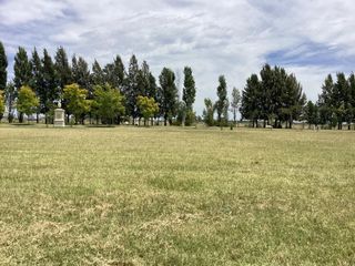 Foto 5 de Lote con frente a la laguna . 800 m2  en Lagos de San Eliseo