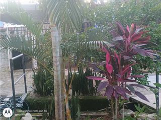 Foto 26 de Arriendo Agradable Casa con Piscina Guadual Rivera Huila