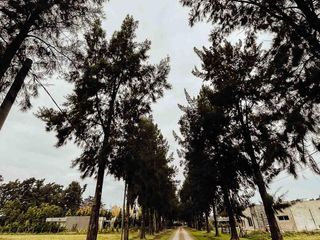 Foto 12 de Terreno en venta - 1.713mts2 - Estancia Las Malvinas, Coronel Brandsen [FINANCIADO]