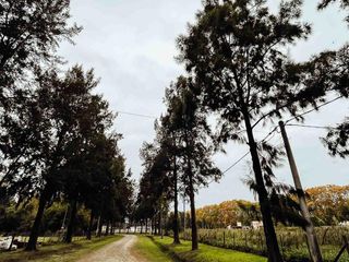 Foto 25 de Terreno en venta - 1.713mts2 - Estancia Las Malvinas, Coronel Brandsen [FINANCIADO]