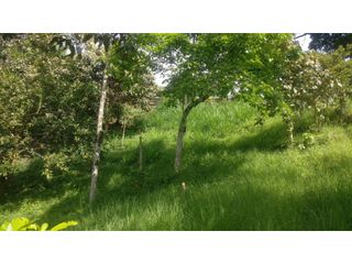Foto 2 de LOTE INDEPENDIENTE EN VENTA EN LA ESTRELLA ANTIOQUIA
