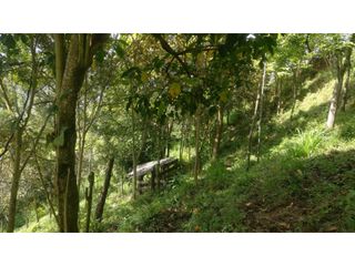 Foto 4 de LOTE INDEPENDIENTE EN VENTA EN LA ESTRELLA ANTIOQUIA