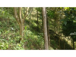Foto 6 de LOTE INDEPENDIENTE EN VENTA EN LA ESTRELLA ANTIOQUIA