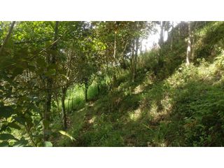 Foto 9 de LOTE INDEPENDIENTE EN VENTA EN LA ESTRELLA ANTIOQUIA