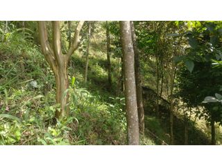 Foto 10 de LOTE INDEPENDIENTE EN VENTA EN LA ESTRELLA ANTIOQUIA