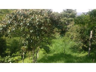 Foto 11 de LOTE INDEPENDIENTE EN VENTA EN LA ESTRELLA ANTIOQUIA