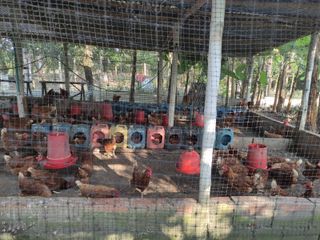 Foto 18 de Lote Para Bodegas 20 Mil Mtrs .