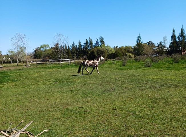 place photo 13