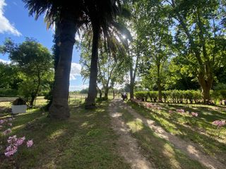 Foto 7 de Venta para hostería hostería o turismo rural - Restaurante - La Querencia de Monasterio - Lezama