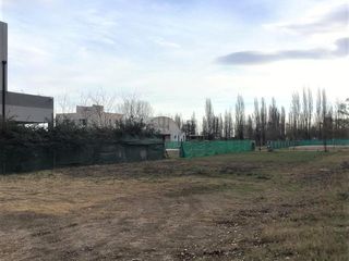 Foto 4 de Terreno en venta La Castellana