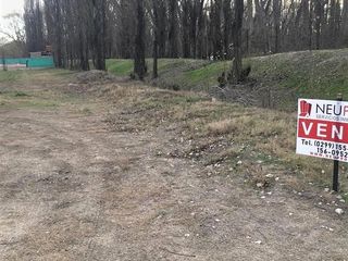 Foto 5 de Terreno en venta La Castellana