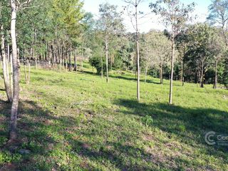 Foto 11 de Se vende Terreno en Terrazas de Andrade Misiones. 20x40m