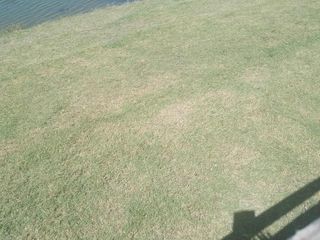 Foto 7 de Terreno en venta - 882Mts2 - San Sebastián, Escobar