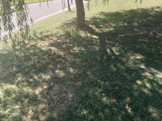 Foto 6 de Terreno en venta - 882Mts2 - San Sebastián, Escobar