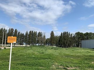 Foto 8 de Terreno en Las Palmas