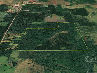 Foto 4 de Chacra en Santo Pipo,  44 ha forestación, yerba y monte
