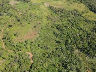 Foto 5 de Chacra en Santo Pipo,  44 ha forestación, yerba y monte