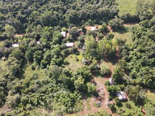 Foto 7 de Chacra en Santo Pipo,  44 ha forestación, yerba y monte