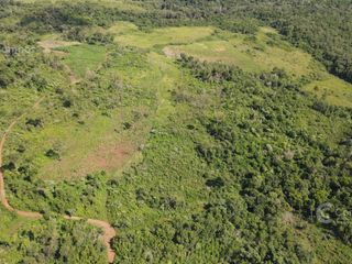 Foto 1 de Chacra en Santo Pipo,  44 ha forestación, yerba y monte