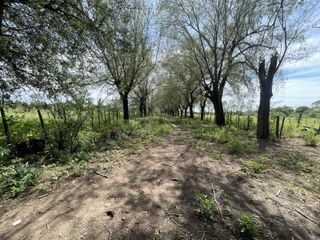 Foto 16 de CAMPO EN VENTA EN DESPEÑADEROS