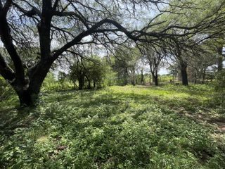 Foto 10 de CAMPO EN VENTA EN DESPEÑADEROS
