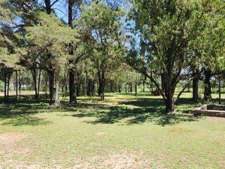 Foto 22 de CAMPO EN VENTA EN DESPEÑADEROS