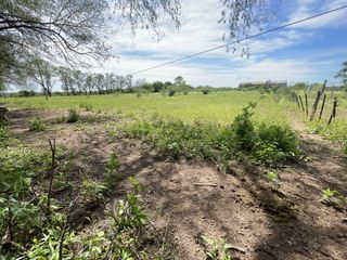 Foto 9 de CAMPO EN VENTA EN DESPEÑADEROS