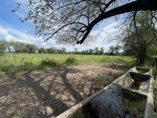 Foto 3 de CAMPO EN VENTA EN DESPEÑADEROS