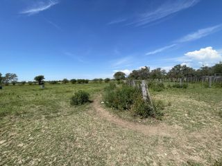 Foto 17 de CAMPO EN VENTA EN DESPEÑADEROS