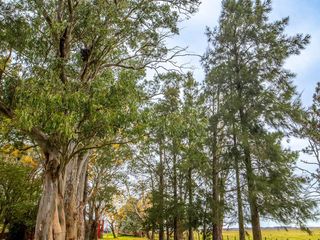 Foto 4 de Campo en  ABBOTT