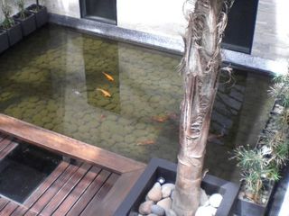 Foto 5 de Oficina en alquiler en Riviera Park, Benavidez, Tigre