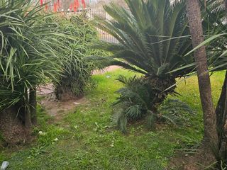Foto 3 de Pacheco - Zeballos al 1000 -  Casa lote propio para uso comercial y vivienda