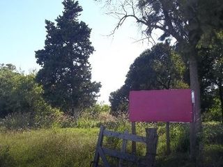 Foto 5 de Campo en venta - 224,900Mts2 - Berisso