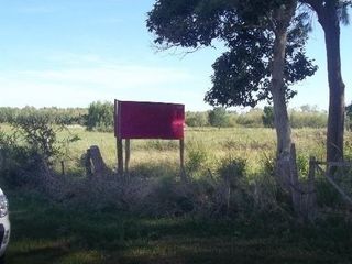 Foto 3 de Campo en venta - 224,900Mts2 - Berisso