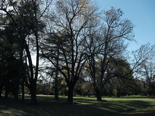 Foto 47 de Terreno - Countries/B.Cerrado (Pilar)