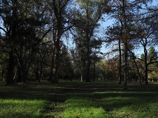 Foto 15 de Terreno - Countries/B.Cerrado (Pilar)