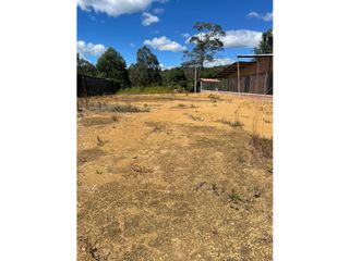 Foto 2 de LUXA VENDE LOTE CAMPESTRE EN EL SECTOR DE RO BLANCO