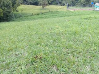 Foto 4 de LUXA VENDE LOTE PARCELACION BOQUERON 3.VIA MAM LOMBRIZ
