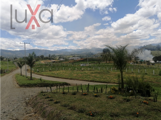 Foto 5 de LUXA VENDE LOTES EN CONDOMINIO CAMPESTRE SAN CARLOS - VIA A CAJIBIO