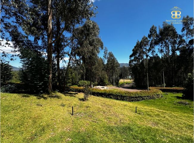 place photo 63