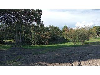 Foto 9 de VENDO LINDO LOTE DE 3.560 METROS - TORDOYA - VILLA DE LEYVA