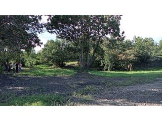 Foto 10 de VENDO LINDO LOTE DE 3.560 METROS - TORDOYA - VILLA DE LEYVA