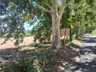 Foto 7 de VENTA DE LOTES SOBRE CALLE MARTINEZ- JUNIN, MZA.