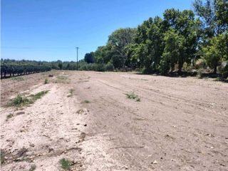 Foto 4 de VENTA DE LOTES SOBRE CALLE MARTINEZ- JUNIN, MZA.