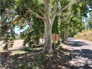 Foto 5 de VENTA DE LOTES SOBRE CALLE MARTINEZ- JUNIN, MZA.