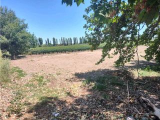 Foto 10 de VENTA DE LOTES SOBRE CALLE MARTINEZ- JUNIN, MZA.