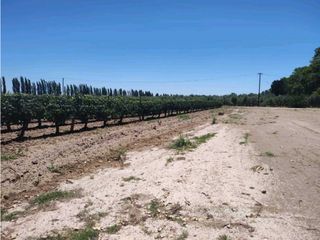 Foto 2 de VENTA DE LOTES SOBRE CALLE MARTINEZ- JUNIN, MZA.