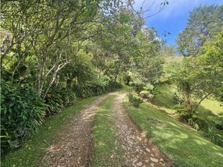 Foto 16 de CASA FINCA EN ARRIENDO EL RETIRO ANTIOQUIA, SECTOR LA MARIA