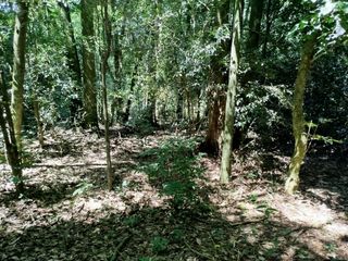 Foto 6 de VENTA de LOTES para EMPRENDIMIENTO TURISTICO/  y otro INDUSTRIAL